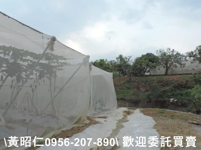 台南農地-8