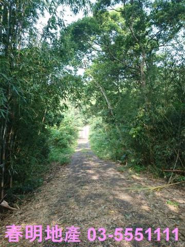 寶山農地-9