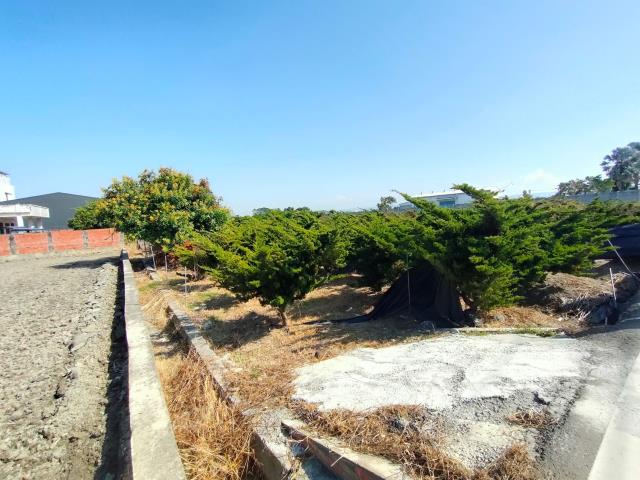 彰化埔心農地-6