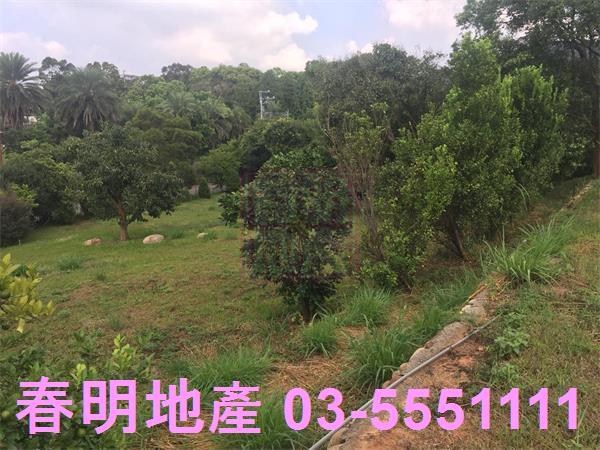 新竹農地-11