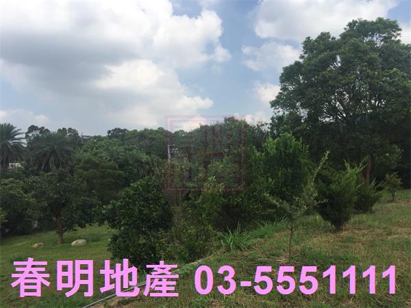 新竹農地-12