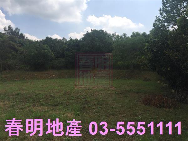 新竹農地-13