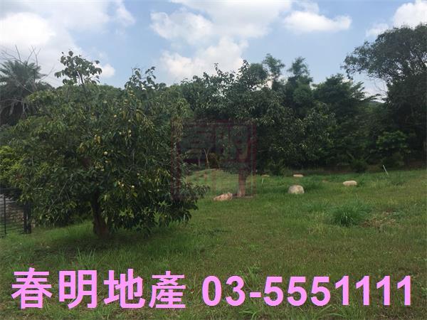 新竹農地-14