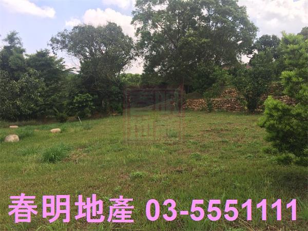 新竹農地-15