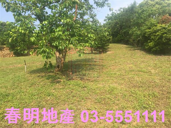 新竹農地-1