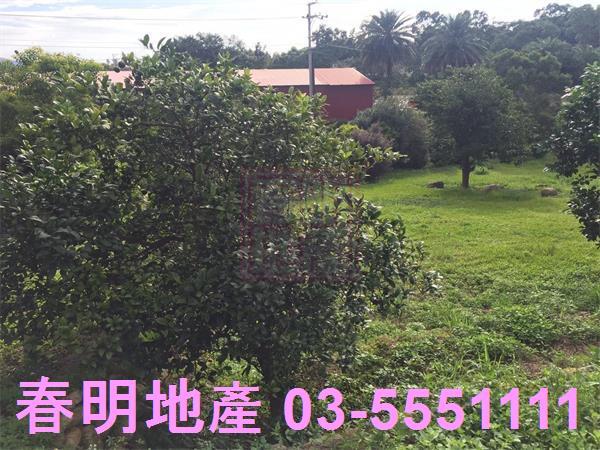 新竹農地-2