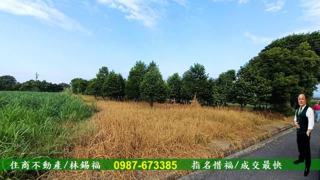 台南善化農地-1
