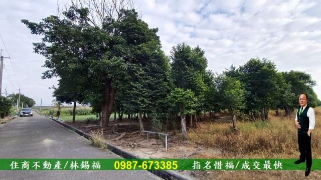 台南善化農地-2