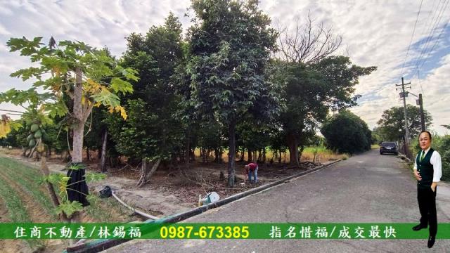 台南善化農地-3