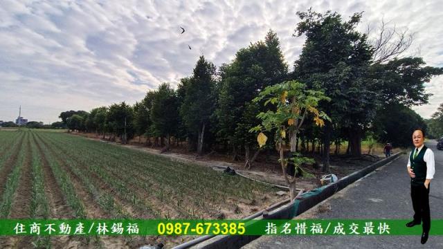 台南善化農地-4