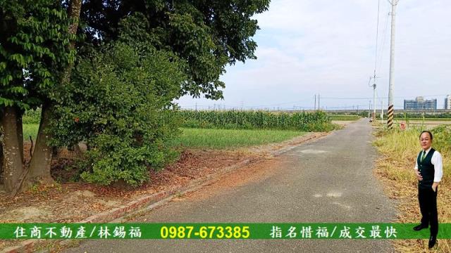 台南善化農地-5