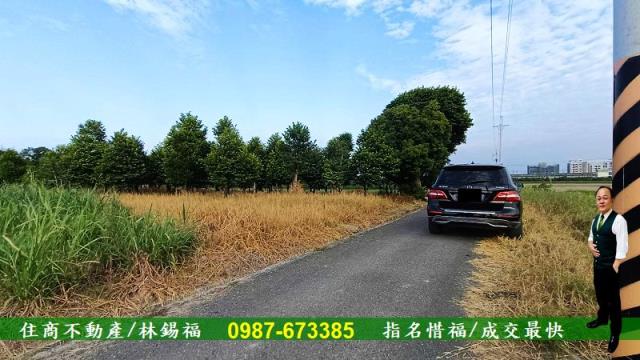 台南善化農地-8