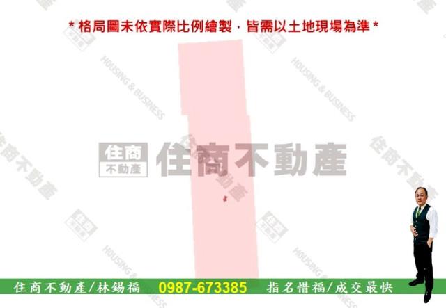 台南善化農地-9