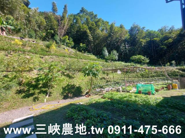 新北農地-9