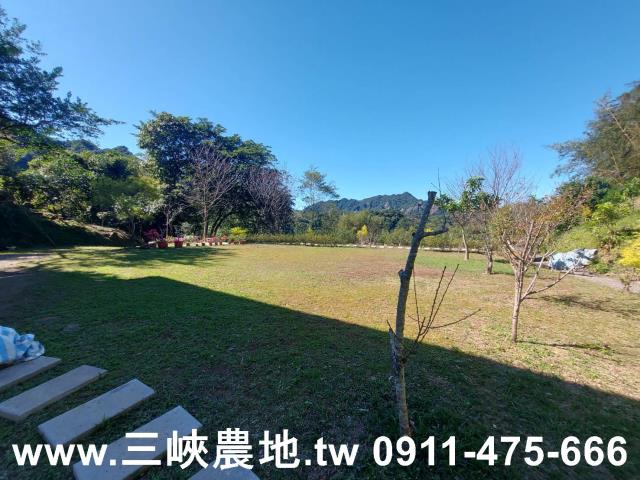 新北農地-13