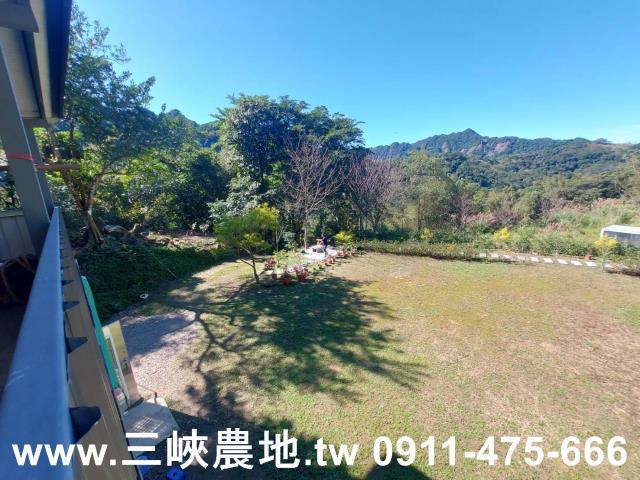 新北農地-3