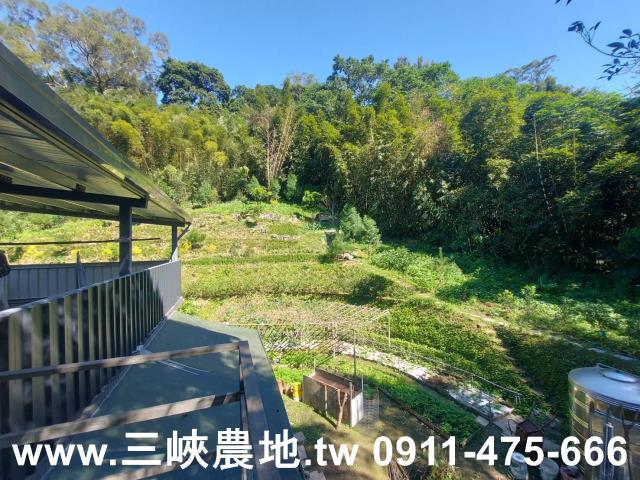 新北農地-6
