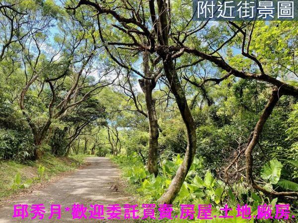三芝農地-11