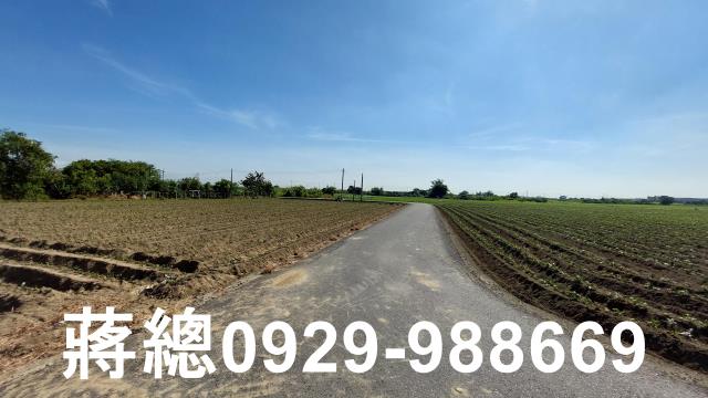 新市農地-12
