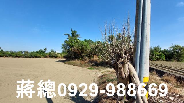 新市農地-10