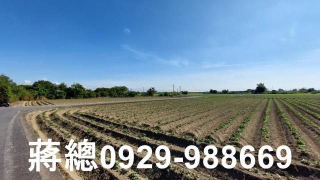 新市農地-6