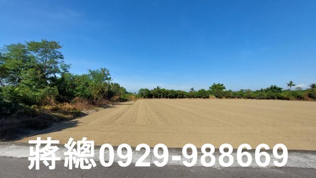新市農地-7