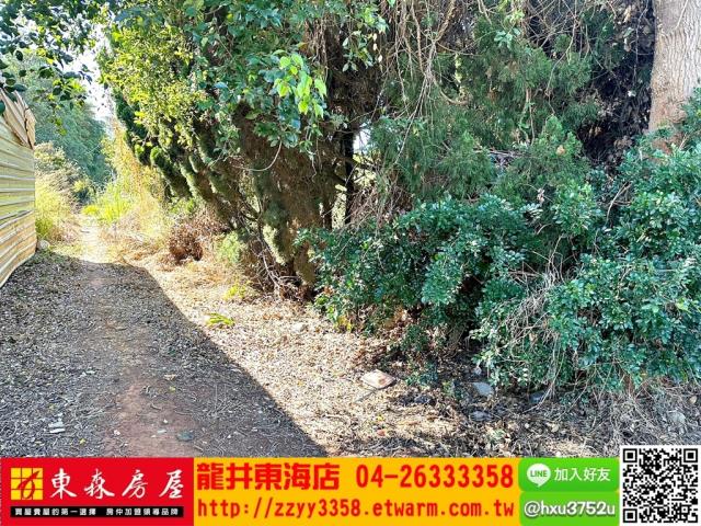 大肚農地-4