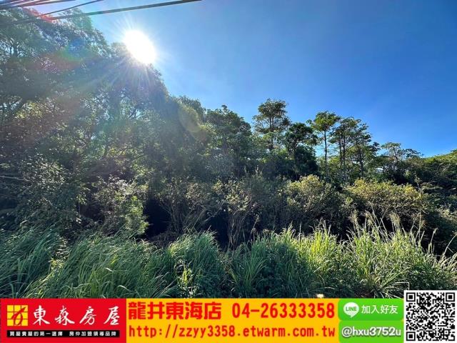 大肚農地-5