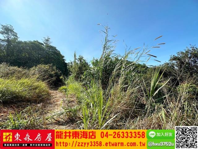 大肚農地-7