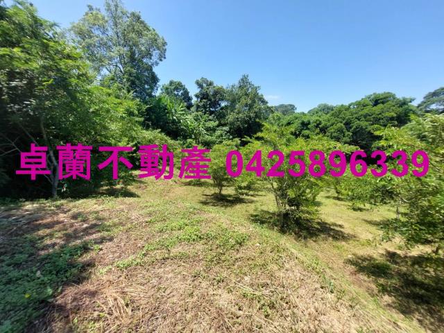 卓蘭農地-1