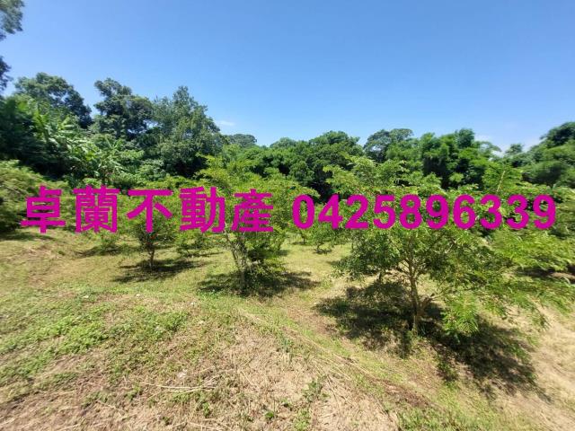 卓蘭農地-2
