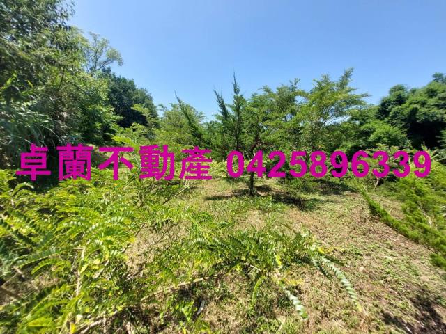卓蘭農地-4