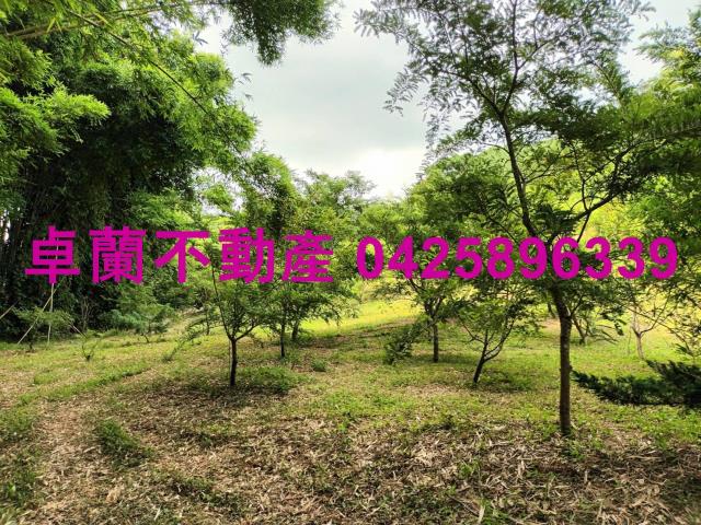 卓蘭農地-6