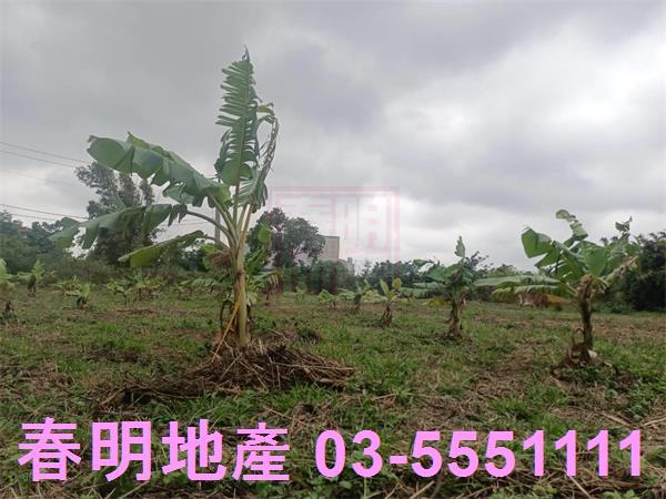 新竹農地-12