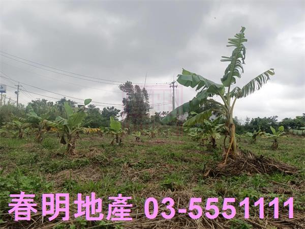 新竹農地-13