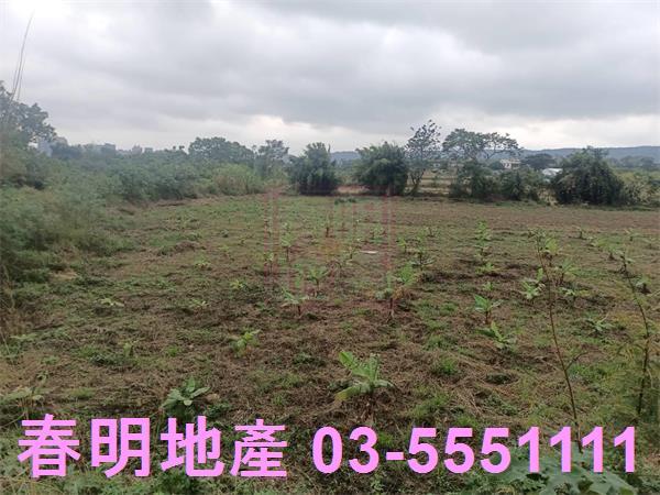 新竹農地-14