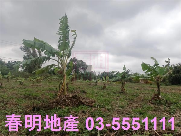 新竹農地-1