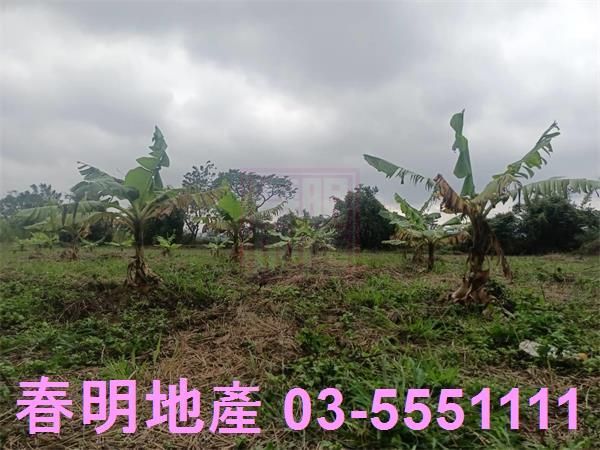 新竹農地-2