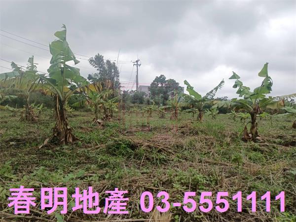 新竹農地-3