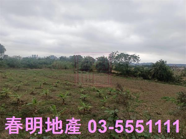 新竹農地-5