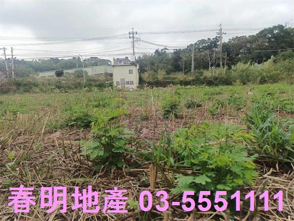 新竹農地-8