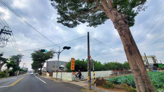 高雄路竹農地-3