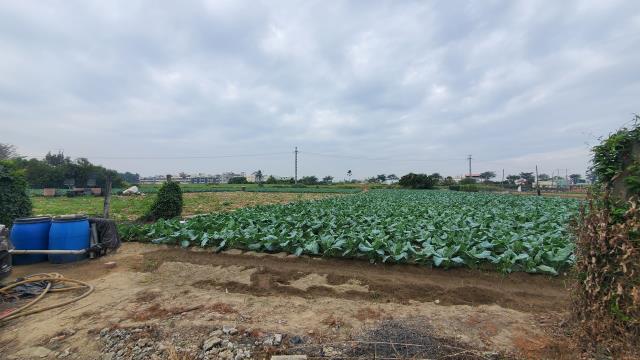 高雄路竹農地-8