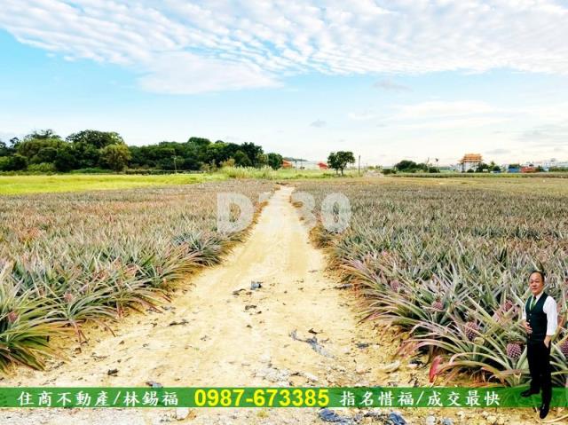 關廟農地-13