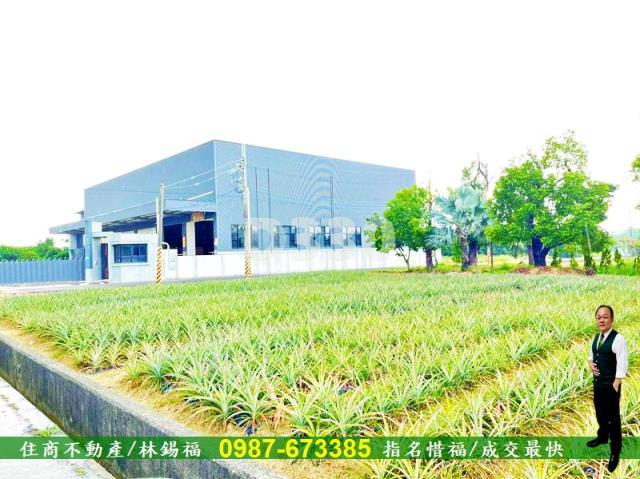 關廟農地-1