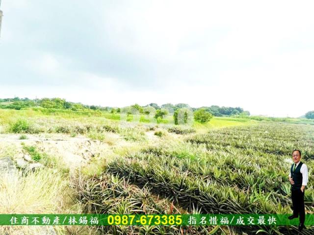 關廟農地-8
