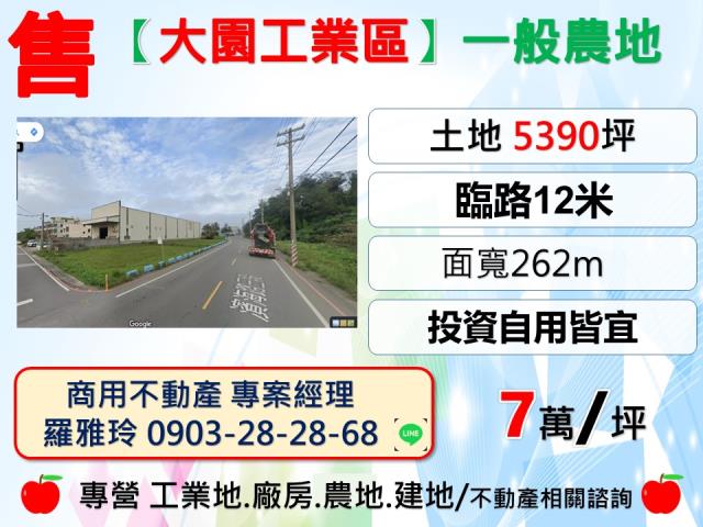 大園農地-1