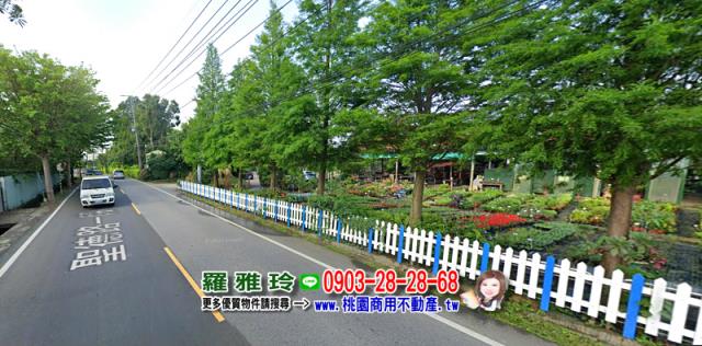 桃園農地-5
