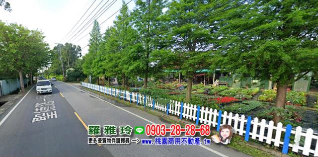 桃園農地-5