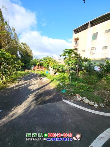 桃園農地-5
